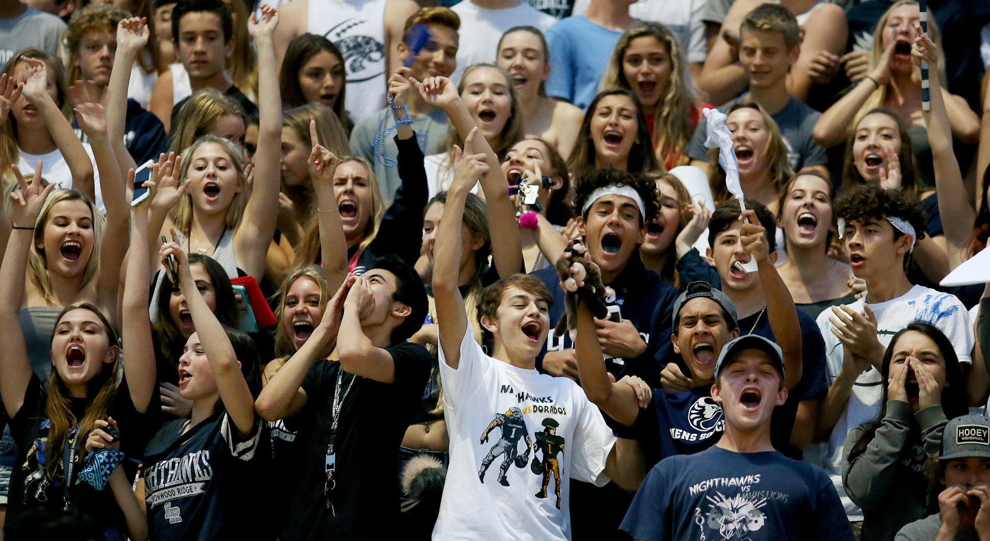 Canyon del Oro 21, Ironwood Ridge 24